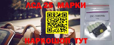 прущие грибы Апшеронск