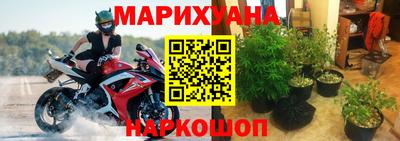 прущие грибы Апшеронск