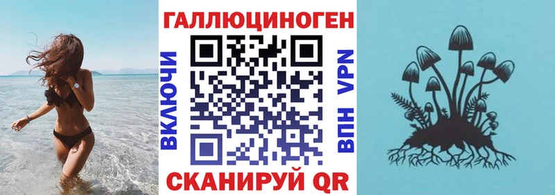 Галлюциногенные грибы прущие грибы  Верхний Уфалей 