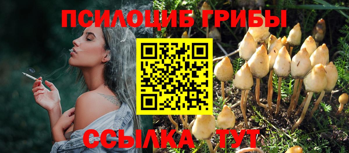 Галлюциногенные грибы Psilocybe  Верхний Уфалей 